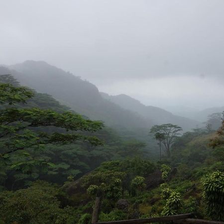 Jungle Tree House Rangala Kandy Exterior foto