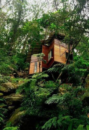 Jungle Tree House Rangala Kandy Exterior foto