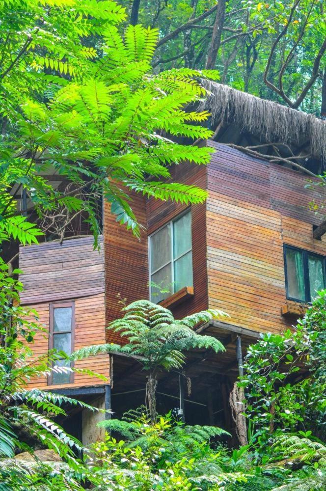 Jungle Tree House Rangala Kandy Exterior foto