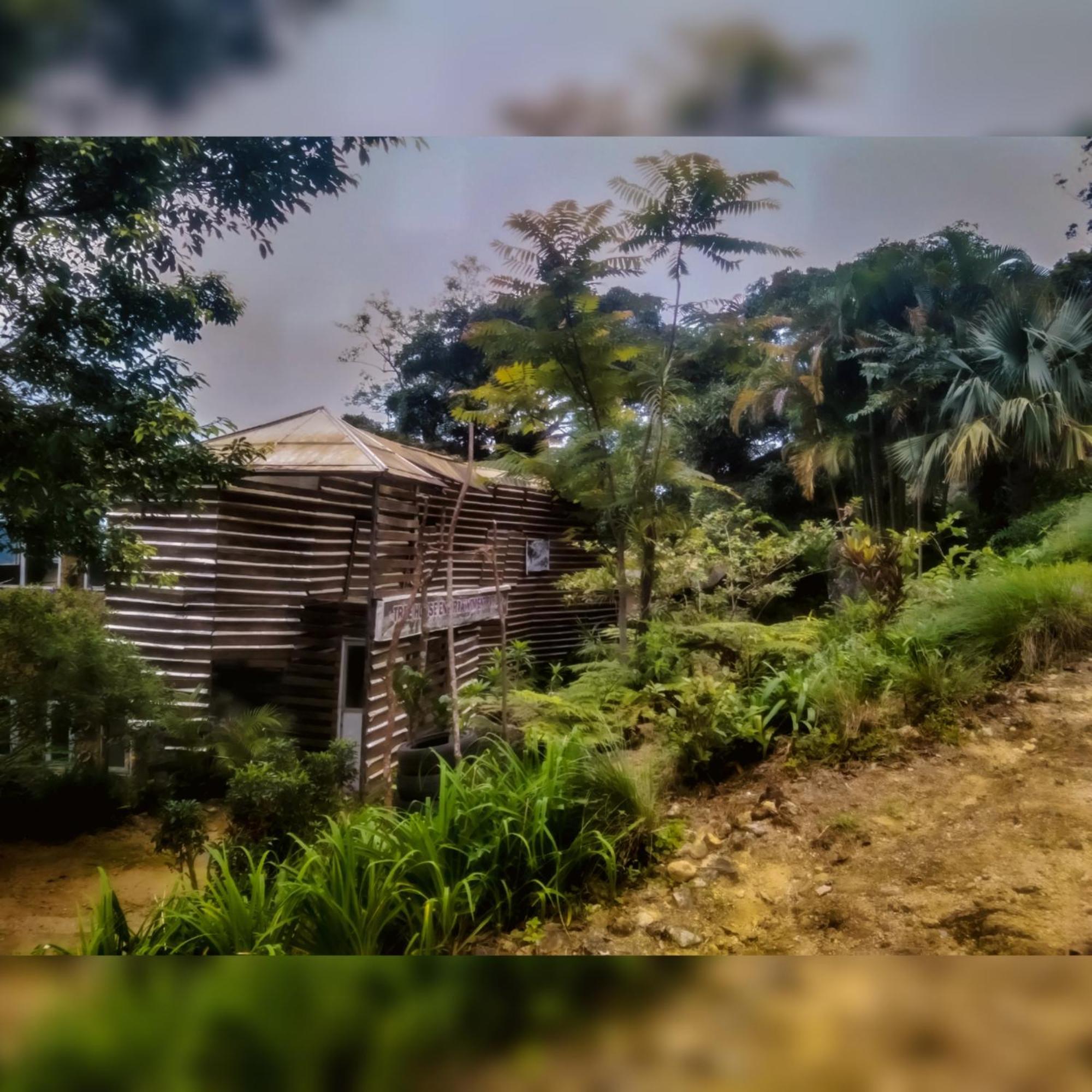 Jungle Tree House Rangala Kandy Exterior foto